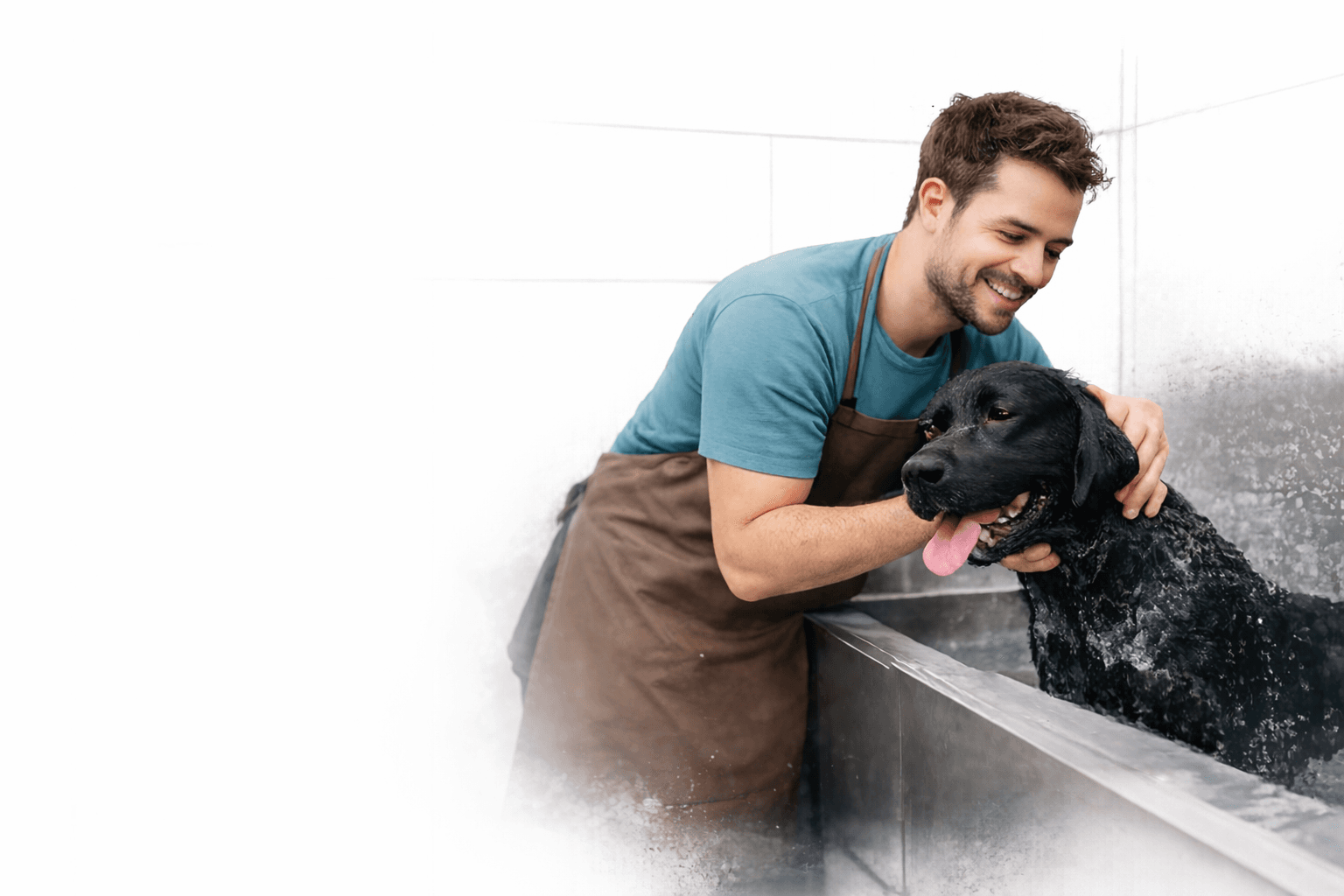 Groomer caring for a dog in a modern salon